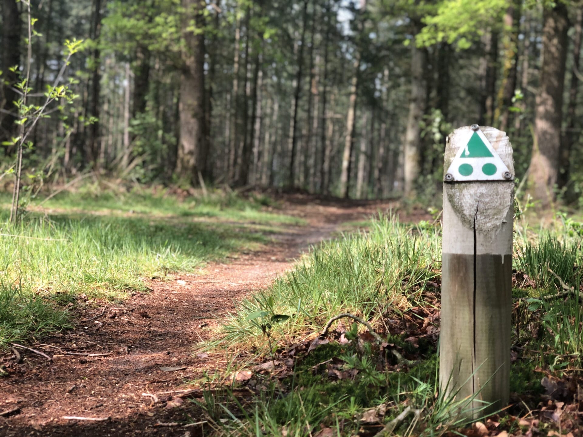 Voorbeeld-bordje en kleur bij mountainbike route