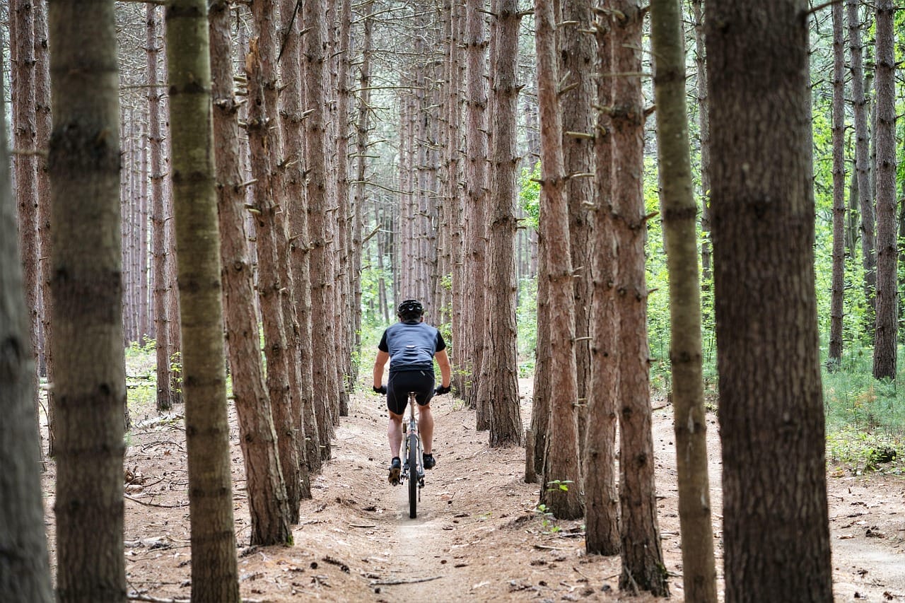 mountainbike-route beginners